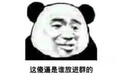 这傻逼是谁放进群的？（熊猫头）