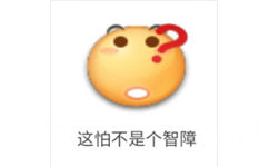 这怕不是个智障 - 笑脸emoji表情包