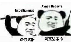 Avada KedavraExpelliarmus除你武器阿瓦达索命