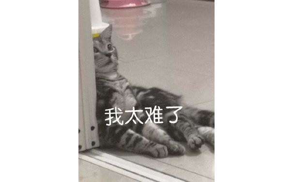 我太难了（猫咪表情包）