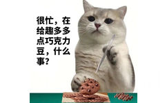 很忙,在给趣多多点巧克力豆,什么事? - 猫猫很忙表情包 ​