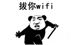 拔你wifi