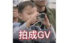 拍成GV - 热门表情包精选-2017/12/14