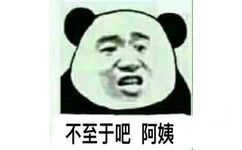 不至于吧阿姨