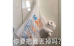 你要把我丢掉吗  猫咪表情包