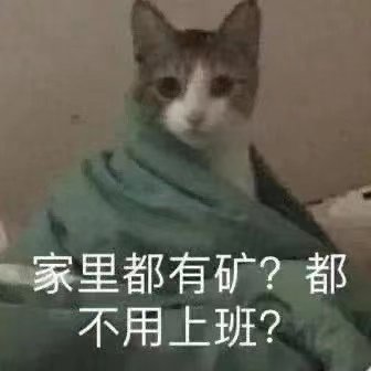 家里都有矿?都不用上班?