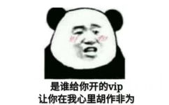 是谁给你开的 VIP 让你在我心里胡作非为（熊猫头表情包）