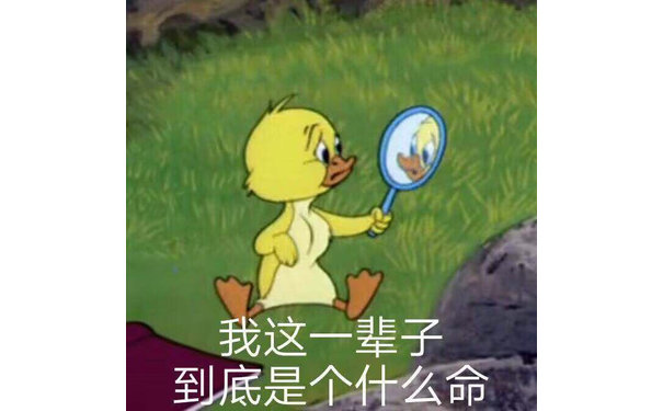 鸭鸭照镜子，我这一辈子到底是什么命