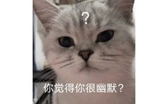 你觉得你很幽默? - 猫咪表情包 爱了  ​