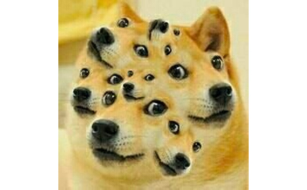 满脸doge