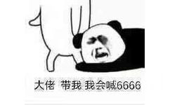 大佬带我我会喊6666