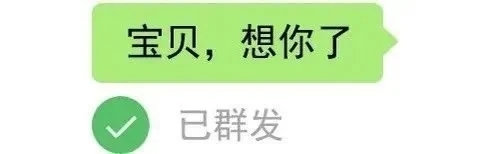 宝贝，想你了已群发