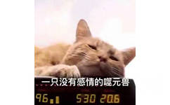 一直没有感情的噬元兽 - 《惊奇队长》 噬元兽橘猫表情包