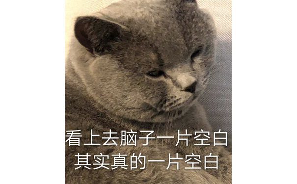 看上去脑子一片空白，其实真的一片空白 - 都是猫咪表情包