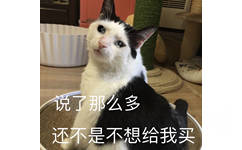 说了那么多，还不是不想给我买（流泪猫咪）