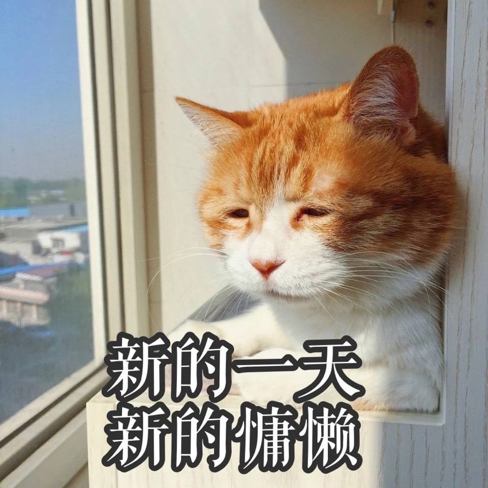 新的一天新的慵懒 - 一组萌萌的猫咪表情包，一起吸猫