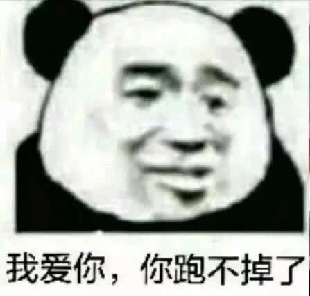 我爱你,你跑不掉了