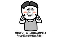 又虚度了一年,2018年努力吧!有太多的梦想等我去实现!! - 2018！今夜精彩纷呈，今夜无人入眠