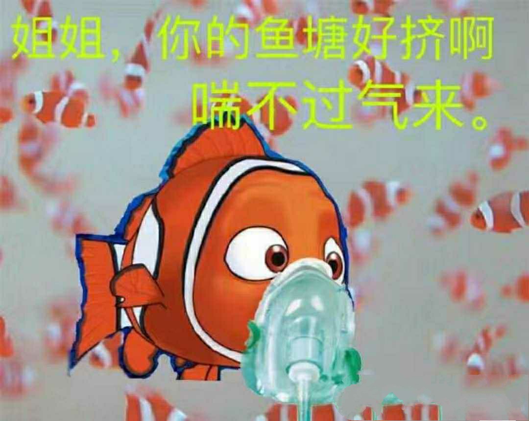 姐姐，你的鱼塘好挤啊，喘不过气来