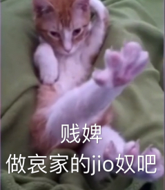 贱婢，做哀家的jio奴吧（猫咪）