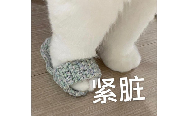 紧脏(猫咪表情包)