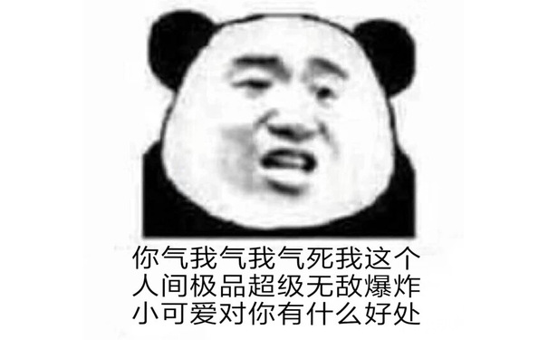 气我气我气死我这个人间极品超级无敌爆炸小可爱对你有什么好处 - 【沙雕熊猫头】表情包合集 ​