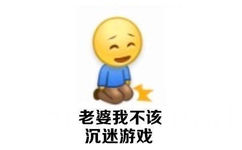 老婆我不该沉迷游戏 - 妻奴必备表情包 ​