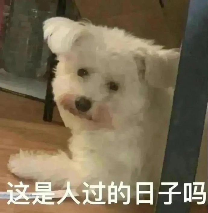 这是人过的日子吗