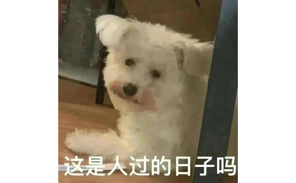 这是人过的日子吗