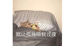 就让孤独陪我过夜