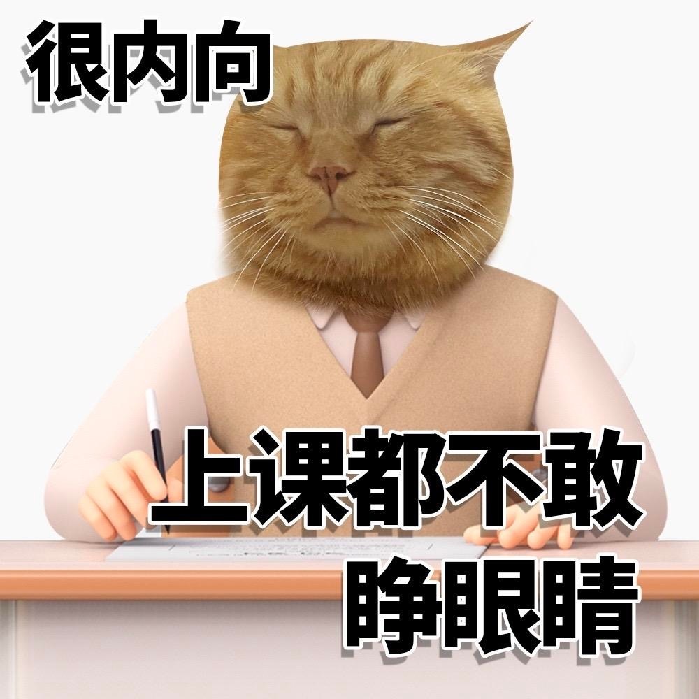 很内向上课都不敢睁眼睛 - 很内向很外向猫猫表情包