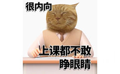 很内向上课都不敢睁眼睛 - 很内向很外向猫猫表情包