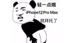 轻一点哦iPhone12 Pro Max 就拜托了 - 近期热门斗图表情包精选-2020/10/18