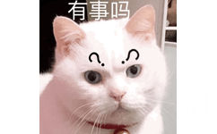 有事吗？ - 一组猫咪斗图表情包