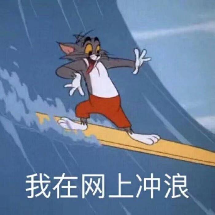 我在网上冲浪（汤姆猫表情包）