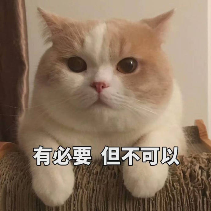 有必要 但不可以 - 一只超可爱的小猫咪表情包