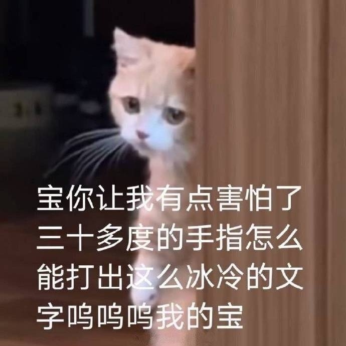 宝你让我有点害怕了三十多度的手指怎么能打出这么冰冷的文字呜呜呜我的宝