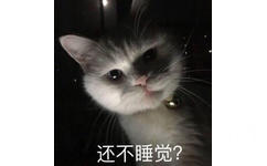 还不睡觉？（猫咪）