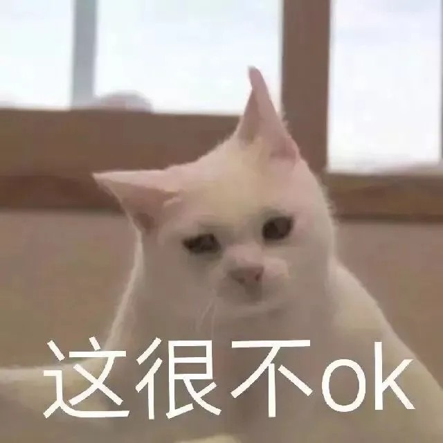 这很不ok(猫咪表情包)