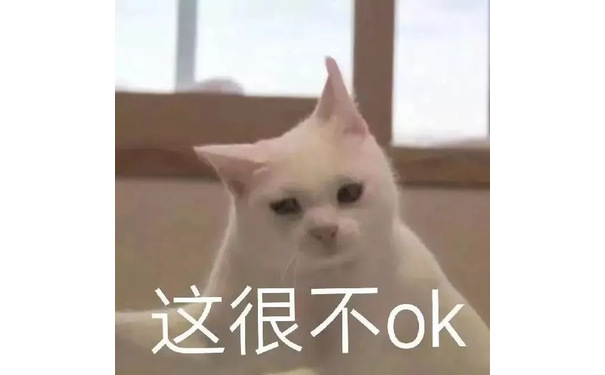 这很不ok(猫咪表情包)