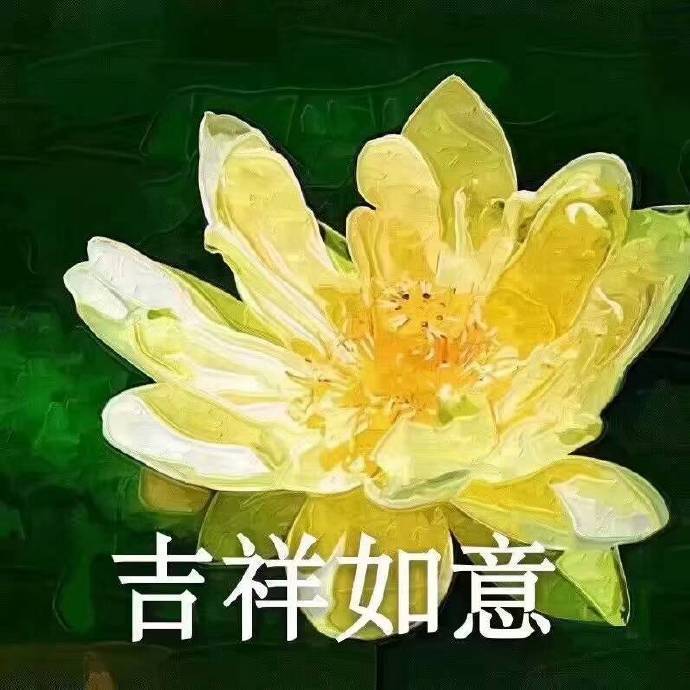 吉祥如意 - 佛系荷花表情包