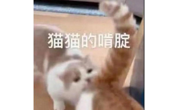 猫猫的啃腚(猫猫的肯定)