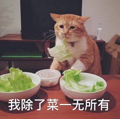 我除了菜一无所有（猫咪表情包）