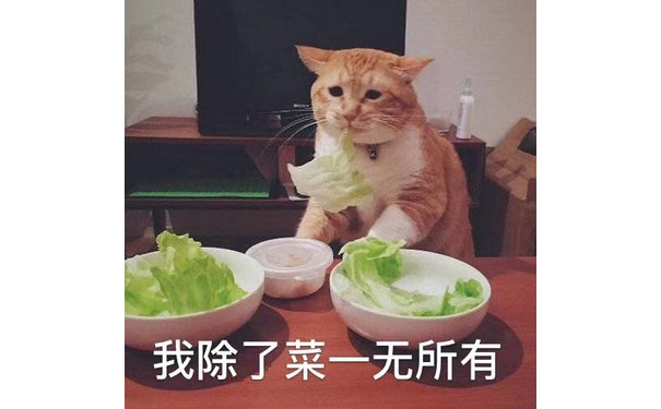 我除了菜一无所有（猫咪表情包）