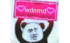 wdnmd（熊猫头表情包）