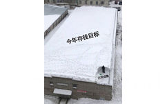 今年存钱目标 vs 已完成数（雪地） - 理想 VS 现实