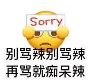 Sorry 别骂辣别骂辣再骂就痴呆辣