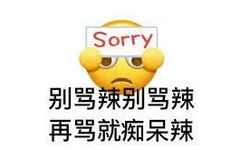 Sorry 别骂辣别骂辣再骂就痴呆辣