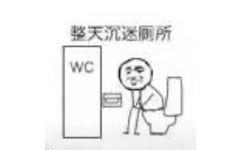 整天沉迷厕所wC