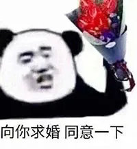 向你求婚同意一下